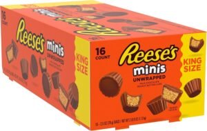 REESE'S MINIS PEANUT BUTTER CUP KIG SIZE 16 CT